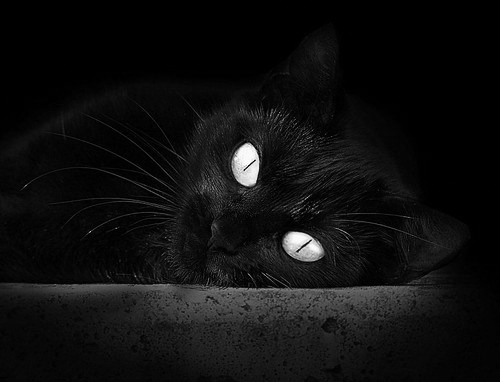 弗拉门戈阵容厚度展现优势,弗拉门戈近期战绩