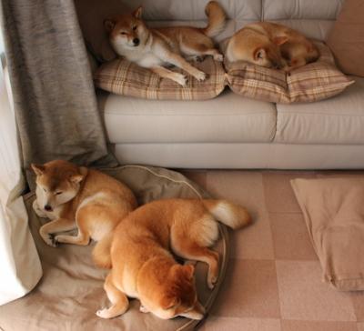 开云体育链接-丁俊晖年终总结感谢团队支持，丁俊晖总冠军数量